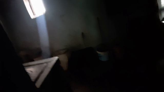 Как я в сарае убиралась )))) Обмусолила Мусю смотреть онлайн