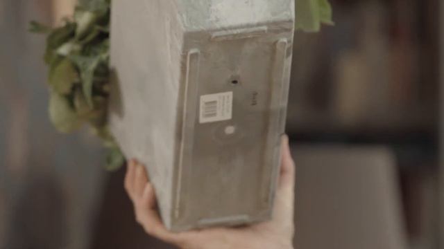 Landelijke creatie met cyclamen Super Serie Petticoat смотреть онлайн