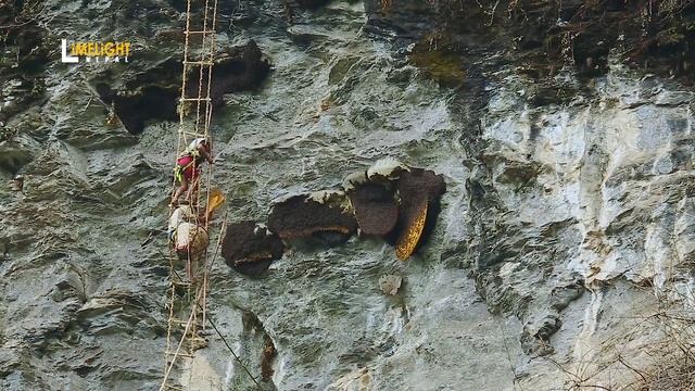 Honey Hunting in Nepal | Hallucinogen Honey Hunters | Documentary смотреть онлайн
