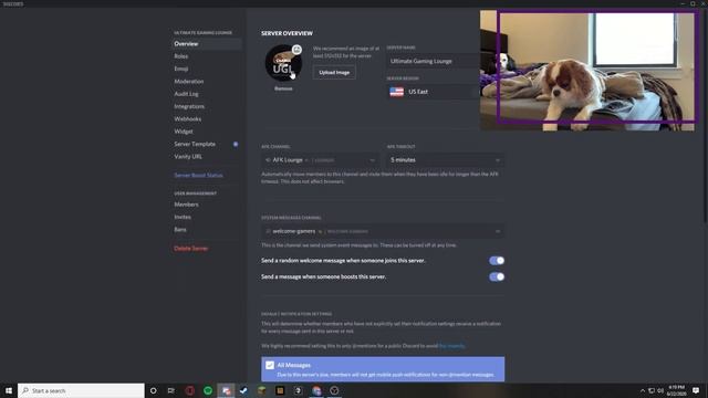 How to Customize Animated Server Icons and Server Banners! смотреть онлайн