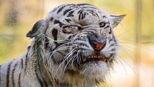 Музыка Европа Плюс. Настоящий хит! Рекомендую послуш...