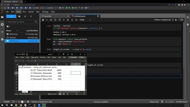 Openpyxl - Adjusting Column Width in Excel with Python | Data Automation смотреть онлайн