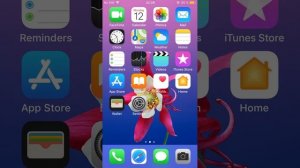 iOS 12.1.4 Crazy Error [iPhone 6 CrE]