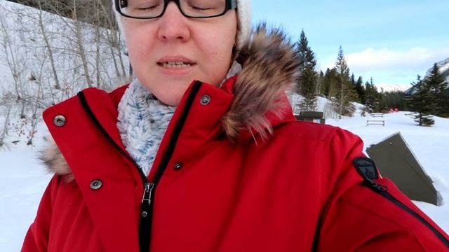 Vlog Едем получать американскую визу/Национальный парк Банф/Альберта/Озеро Луиз/День 3-4 смотреть онлайн