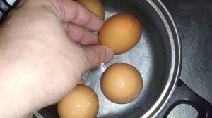 вареные яйца что не тонут в воде