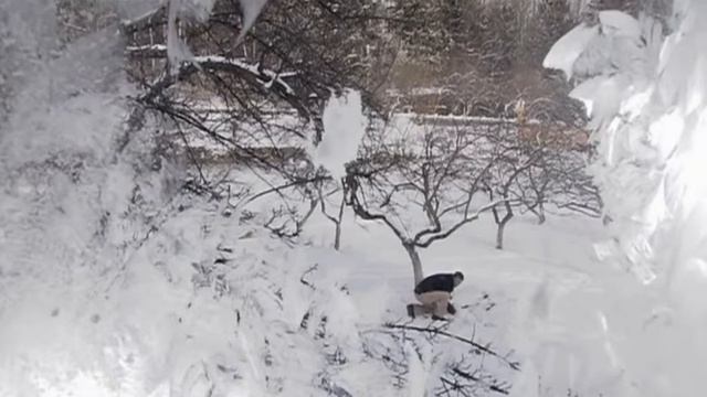 На белом покрывале января смотреть онлайн