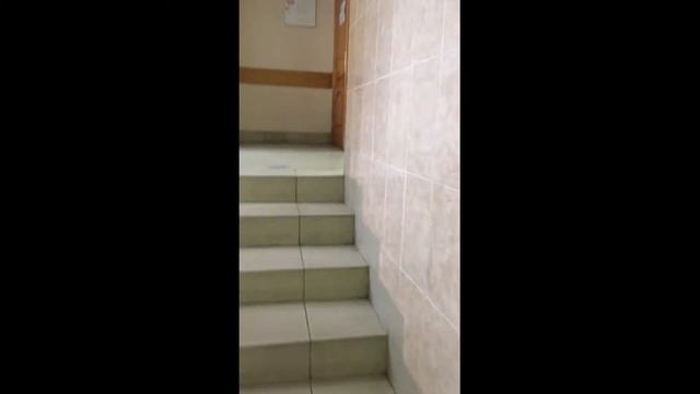 Подготовка к огэ и егэ в Подольске. Ул. Революционный проспект, 64/105, 35. смотреть онлайн