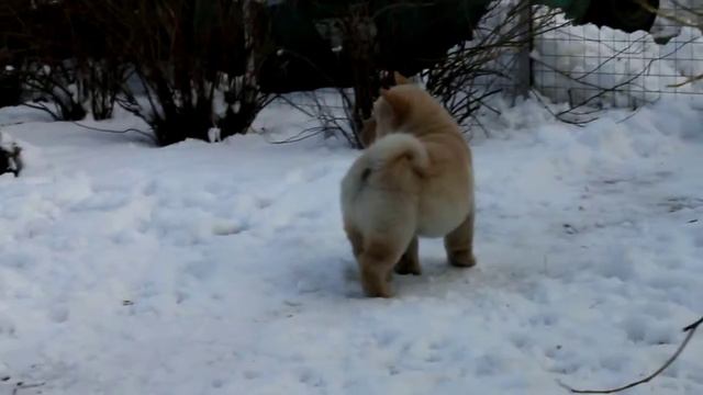 Фэнтези Стайл Барни 2 мес смотреть онлайн