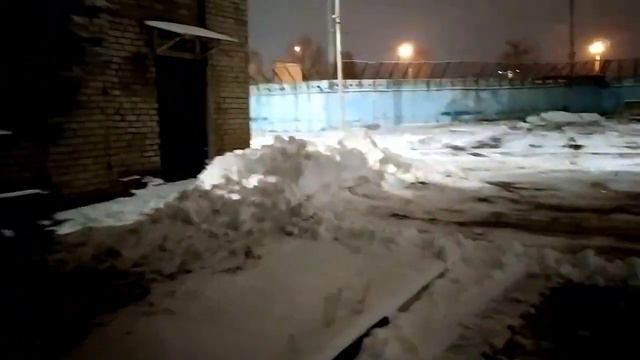 Ярославль Лиса на Ярославском Моторном Заводе смотреть онлайн