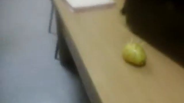 Ежик из груши смотреть онлайн