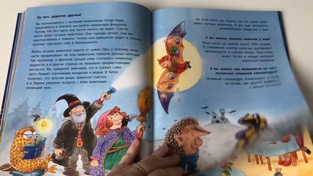 Познавательные истории о ночных животных смотреть онлайн