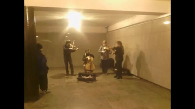 Музыка Питера. The Jungle Quartet 02