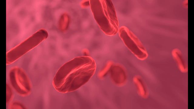 Эндотоксин, Формальдегид, Ацетальдегид, Снижение когнитивных способностей смотреть онлайн