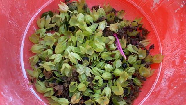 Вкусный рецепт на зиму/ добавь соду в средство для посуды / Моменты из жизни . смотреть онлайн