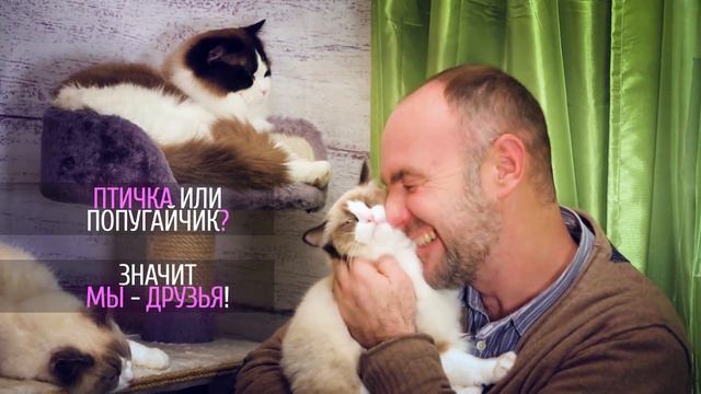 Смотрите АКАДЕМИЮ ДОМАШНИХ ЖИВОТНЫХ ГРИГОРИЯ МАНЁВА смотреть онлайн