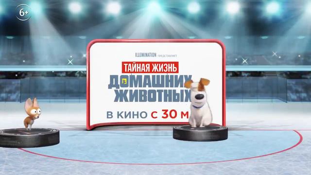 Тайная жизнь домашних животных 2 | В кино с 30 мая смотреть онлайн