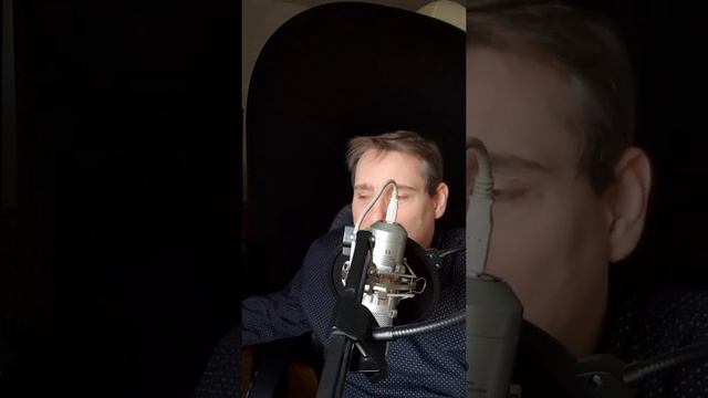 Coverversion Ein Teil von meinem Herzen Orginal von Jonathan Zelter смотреть онлайн