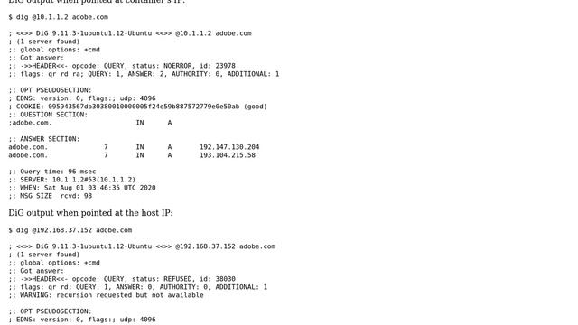 DevOps & SysAdmins: bind9 on container refuses queries from docker translated port смотреть онлайн