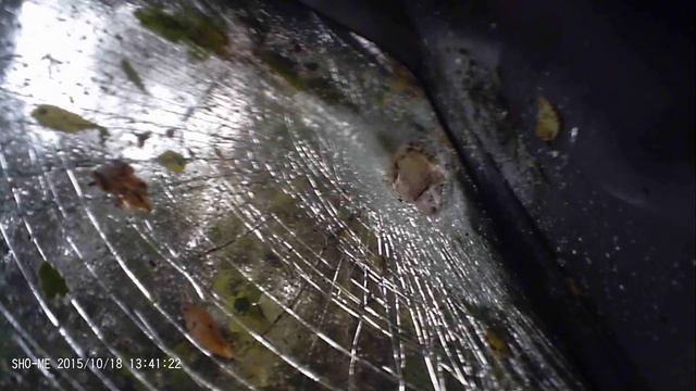 Упало дерево, Бишкек. смотреть онлайн