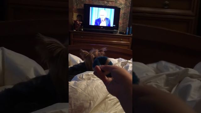 Не послушная фифиня 😗 смотреть онлайн