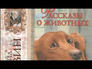 Рассказы о животных. Михаил Пришвин.
