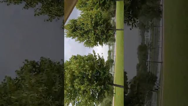 Экскурсия по царицино смотреть онлайн
