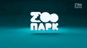 Заставка и продолжения эфира на канале Zooпарк (16.09.2021)
