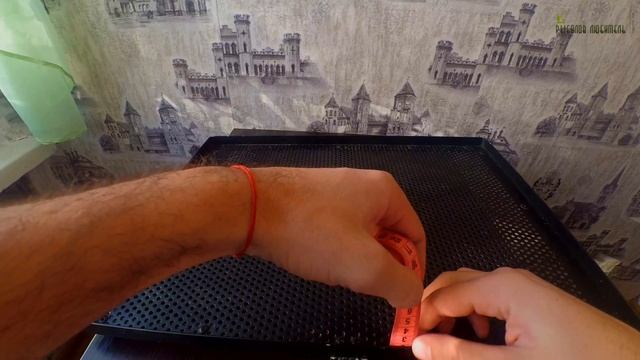Фидерный, насадочный стол компании Jaxon (Traper) для Фидерной Ловли. Обзор.