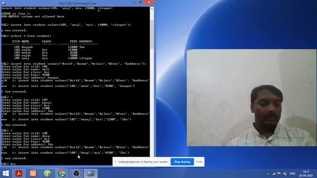 SQL Commands - INSERT, DELETE and UPDATE смотреть онлайн