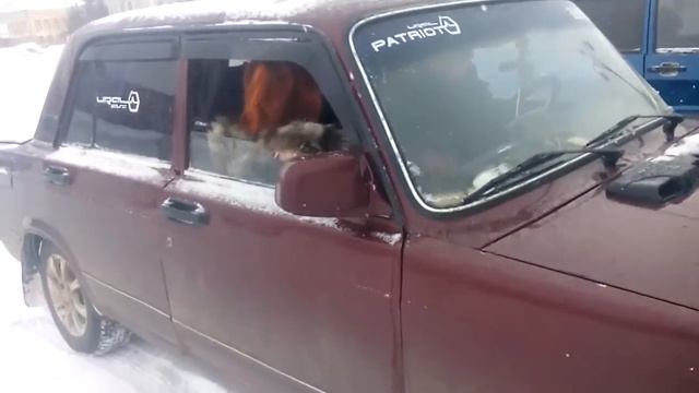 и снова пробный варик хаертрик мощный саб в ваз 2107 смотреть онлайн