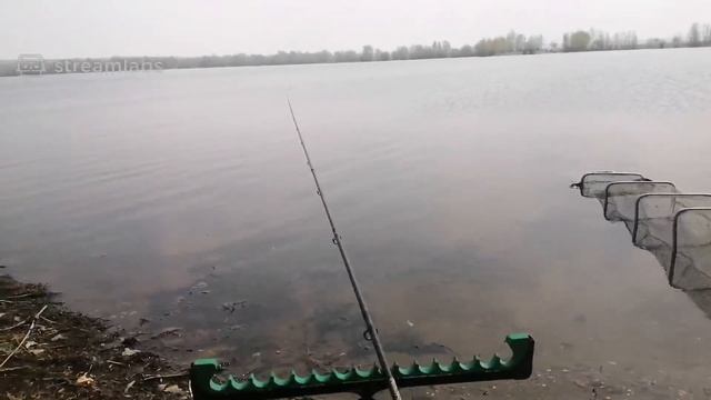 Мёртвое озеро))