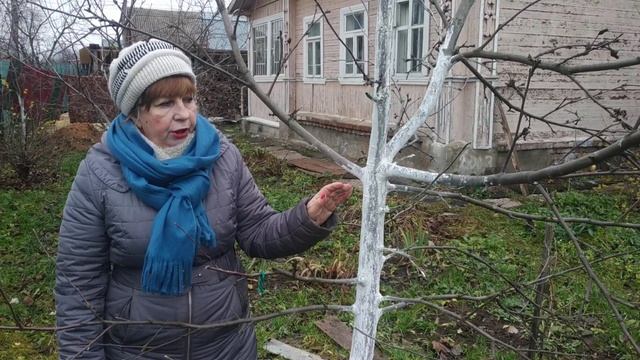 Из чего состоит дерево?Строение кроны плодового дерева- центральный проводник,скелетные ветки,штамб