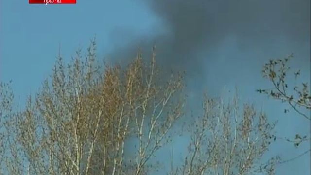 «Поймай вонючку»: графитовый завод смотреть онлайн