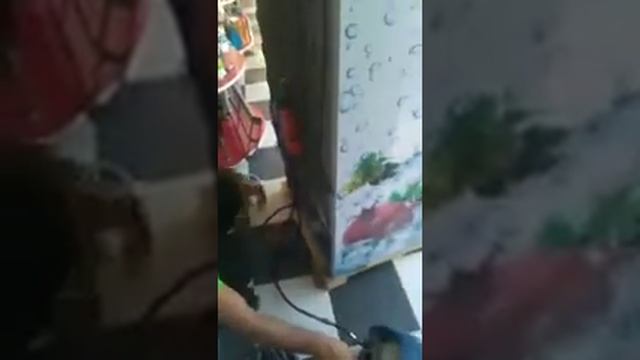 холодильник кандисанер ремонт 99 5001431 смотреть онлайн