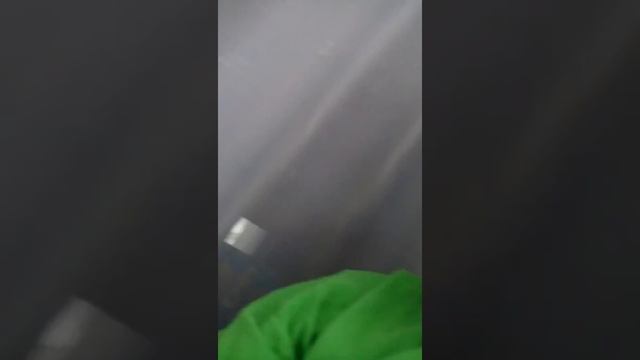 Как заболеть и не ходить в школу смотреть онлайн
