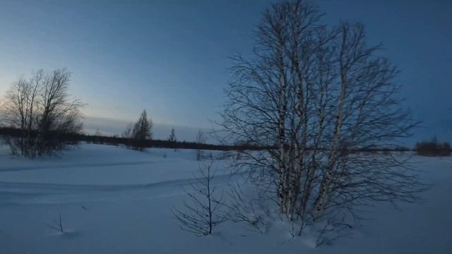 Быстрая охота на куропатку февраль 2022 смотреть онлайн