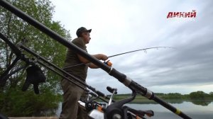 Карпятники. Весенний сезон в Рязанской области.