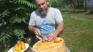 Томат Матросик проба