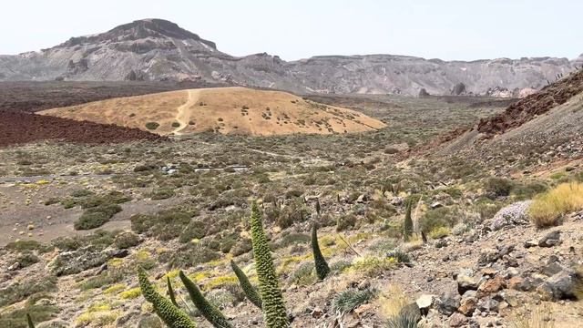 Teide National Park Tenerife-exploring, driving & Observation area! 🌲 смотреть онлайн