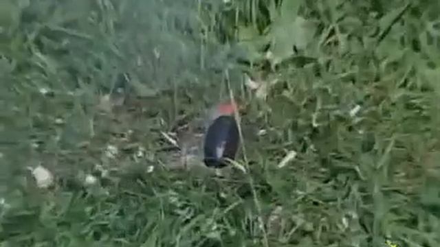 Р1050 Лимонка смотреть онлайн