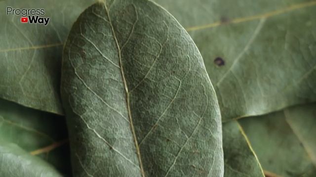 Просто Положите Это в Горшок с Цветами и Они Будут Пышно Цвести Очень Долго! смотреть онлайн