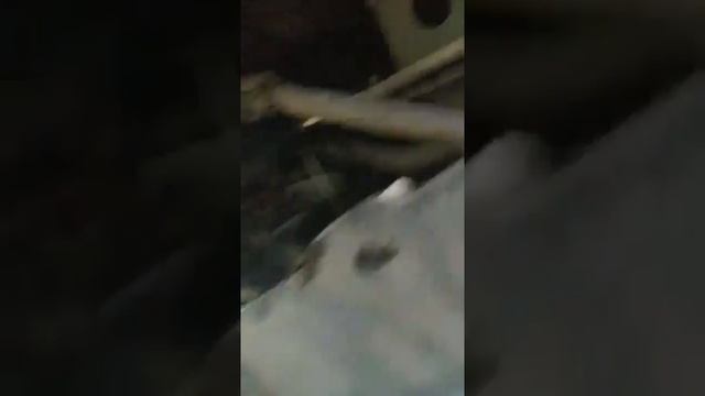 Сухая горчица в системе охлаждения смотреть онлайн