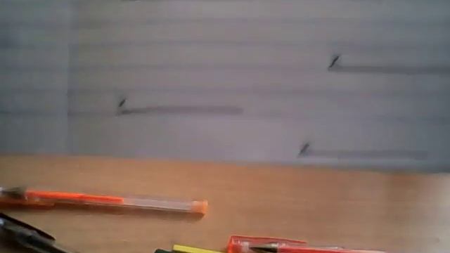 Как делать паспорт животному