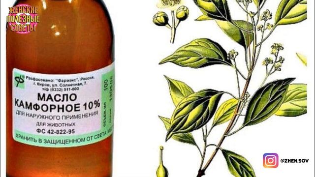 На Этом Рецепте Помешан Весь Мир!Лечит Ваши Колени И Восстанавливает Кости И Суставы В Короткий Сро смотреть онлайн