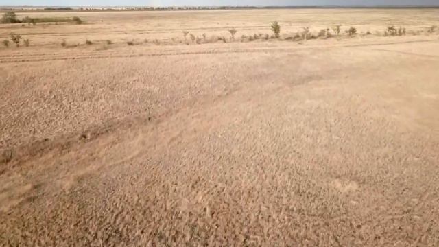 Большой Караман смотреть онлайн