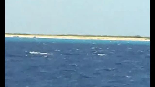 Holiday in Hurghada and boat trip to coral island Giftun смотреть онлайн
