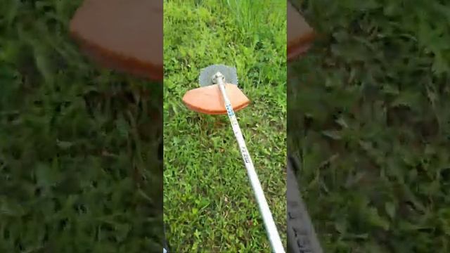 Бензокоса Stihl FS 250 с диском Champion (для травы и мелкого кустарника) смотреть онлайн