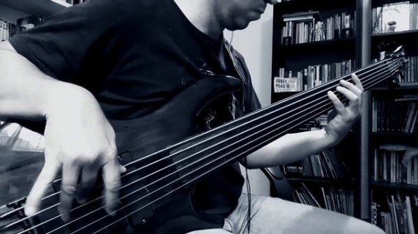 Raining Blood - Fretless bass playtrough