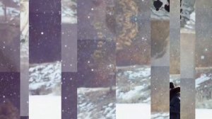 Начнем все с чистого листа - новая песня 2023