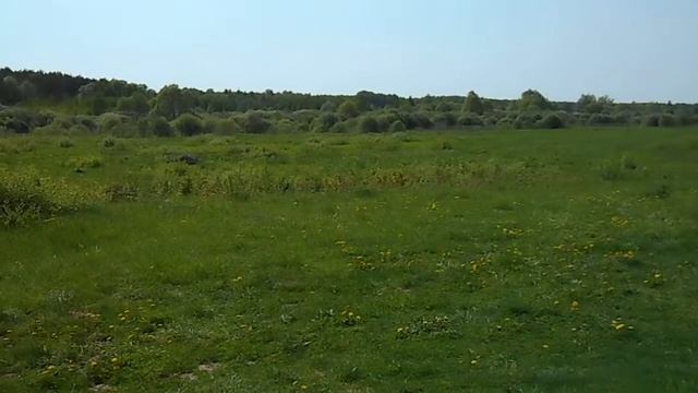 Земля 20 га. смотреть онлайн